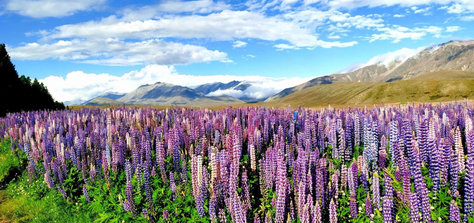 37 Galaxy C Studio Apartment Lake Tekapo Exterior photo